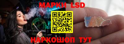 прущие грибы Усть-Илимск
