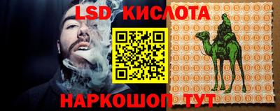 прущие грибы Усть-Илимск