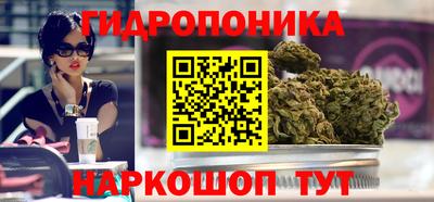 прущие грибы Усть-Илимск