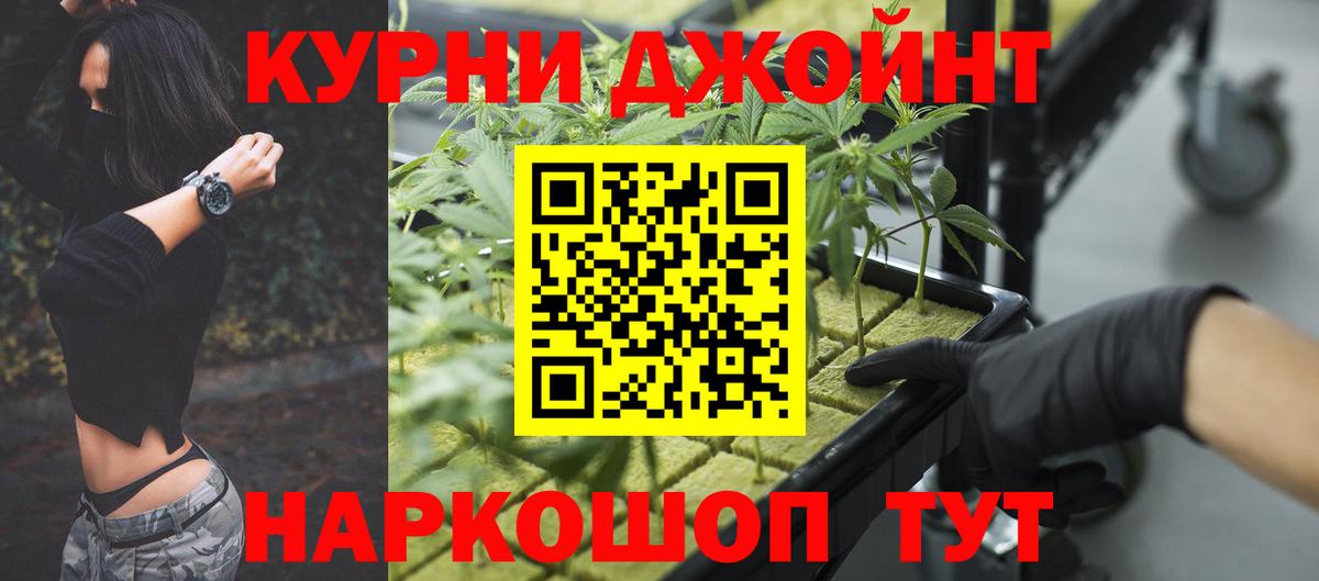 Бошки Шишки MAZAR  Канабис план  Вход с VPN  Котлас 